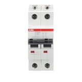 ST202M-Z16 Miniature Circuit Breaker - 2P - Z - 16 A