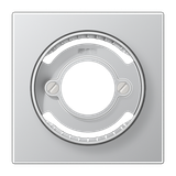 Centre plate AL2937