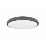 Dark Gray ABS & Acrylic Diffuser LED 25 Watt 37280Lm 3000K 220-240 Volt 50Hz Beam Angle 85o IP54 AC Driver Included D: 32 H: 6 cm