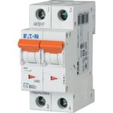 PLS6-D63/2 Eaton Moeller series xPole - PLS6/M MCB