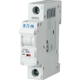 PXL-B50/1 Eaton Moeller series xPole - PXL MCB