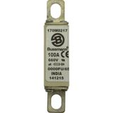 Fuse-link, high speed, 100 A, AC 660 V, size 0000, 18 x 19 x 80 mm, aR, UL