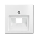 1803-94-507 Cover Plates (partly incl. Insert) UAE/IAE (ISDN) 1 gang alpine white - Basic55