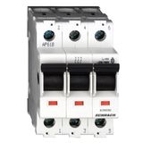 Main Load-Break Switch (Isolator) 80A, 3-pole