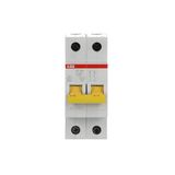 SV202-C32 Miniature Circuit Breaker - 2P - C - 32 A