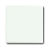 1786-884-500 CoverPlates (partly incl. Insert) future®, Busch-axcent®, carat® studio white matt