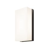 Outdoor Badd Wall lamp Graphite