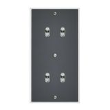 Art d'Arnould universe Memory four two-way switch or lever switch - crystal