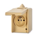 5518-2929 D Socket outlet with earthing pin, with hinged lid