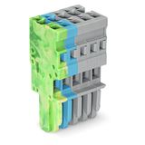 1-conductor female connector CAGE CLAMP® 4 mm² green-yellow, blue, gra