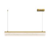 Modern Petra Pendant lamp Brass