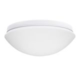 PIRES DL-60O NS Ceiling-mounted light fitting with replaceable light source