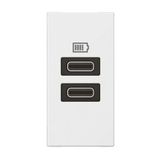 Arteor™ - 1 module USB two ports C+C - 3A- 15W - White