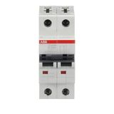 ST202M-K25 Miniature Circuit Breaker - 2P - K - 25 A