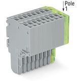 2-conductor female connector Push-in CAGE CLAMP® 1.5 mm² gray, green-y