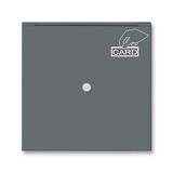 3559M-A00700 61 Card switch cover plate