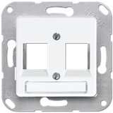 Centre plate for modular jack sockets 169-2NFWEWW