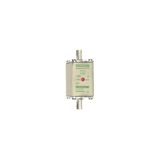 Fuse-link NH00 aM 500VAC 125A live tags Double indicator