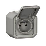 Plexo 16A 250V IP55 IK08 waterproof 2P+E power socket supplied complete for surface mounting - gray