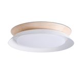 TENDER CEILING LAMP WHITE LED 24W 3000K