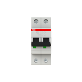 S202-B63 Miniature Circuit Breaker - 2P - B - 63 A