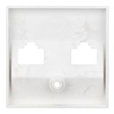 Cover for double data sockets, silver