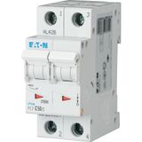 Miniature circuit breaker (MCB), 50 A, 2p, characteristic: B