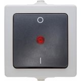 Off switch, 2-pole, illuminated