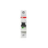 S201L-C20 Miniature Circuit Breaker - 1P - C - 20 A