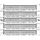 Marking tags 251-300 (each 2x)