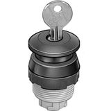 PRS-30-RT Mushroom pushbutton, detenting