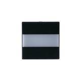 V-81 Center plate Signalling Central cover plate Anthracite - Impressivo