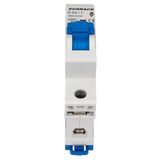 Miniature Circuit Breaker (MCB) AMPARO 10kA, D 50A, 1-pole