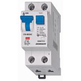 Combined MCB/RCD (RCBO) C10A/1+N/30mA/Type AC-6kA