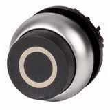 Pushbutton, RMQ-Titan, Extended, momentary, black, inscribed, Bezel: titanium