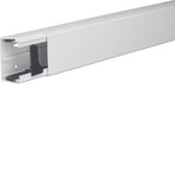 Distribution trunking outside, 40x60, pw