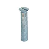 DBS DUG Lid fastening screw