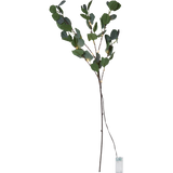 Decorative Twig Eucalyptus