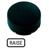 Button plate, raised black, RAISE