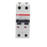 ST202M-C20 Miniature Circuit Breaker - 2P - C - 20 A