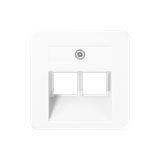 Centre plate for 2-gang modular jack 169-2UAEWW