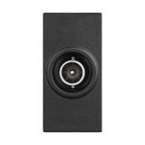 CLASSIA - TV STAR SOCKET BLACK