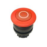 Mushroom actuator, RMQ-Titan, Mushroom, maintained, Mushroom red, red, inscribed, Bezel: black