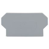 Separator plate 2 mm thick oversized light gray