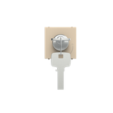 N2253.2 CV Key pushbutton Champagne - Zenit