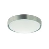 Ceiling Lamp Silver D:300 Yara