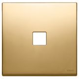 Plate 2Mx1 Flat gold