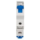 Miniature Circuit Breaker (MCB) AMPARO 10kA, D 2A, 1-pole