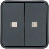 CUBYKO KNX 2 BUTTON PANEL GRAY WITH LED