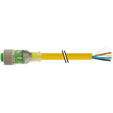 M12 female 0° with cable 3LED PVC 5x0.34 ye UL/CSA 3m